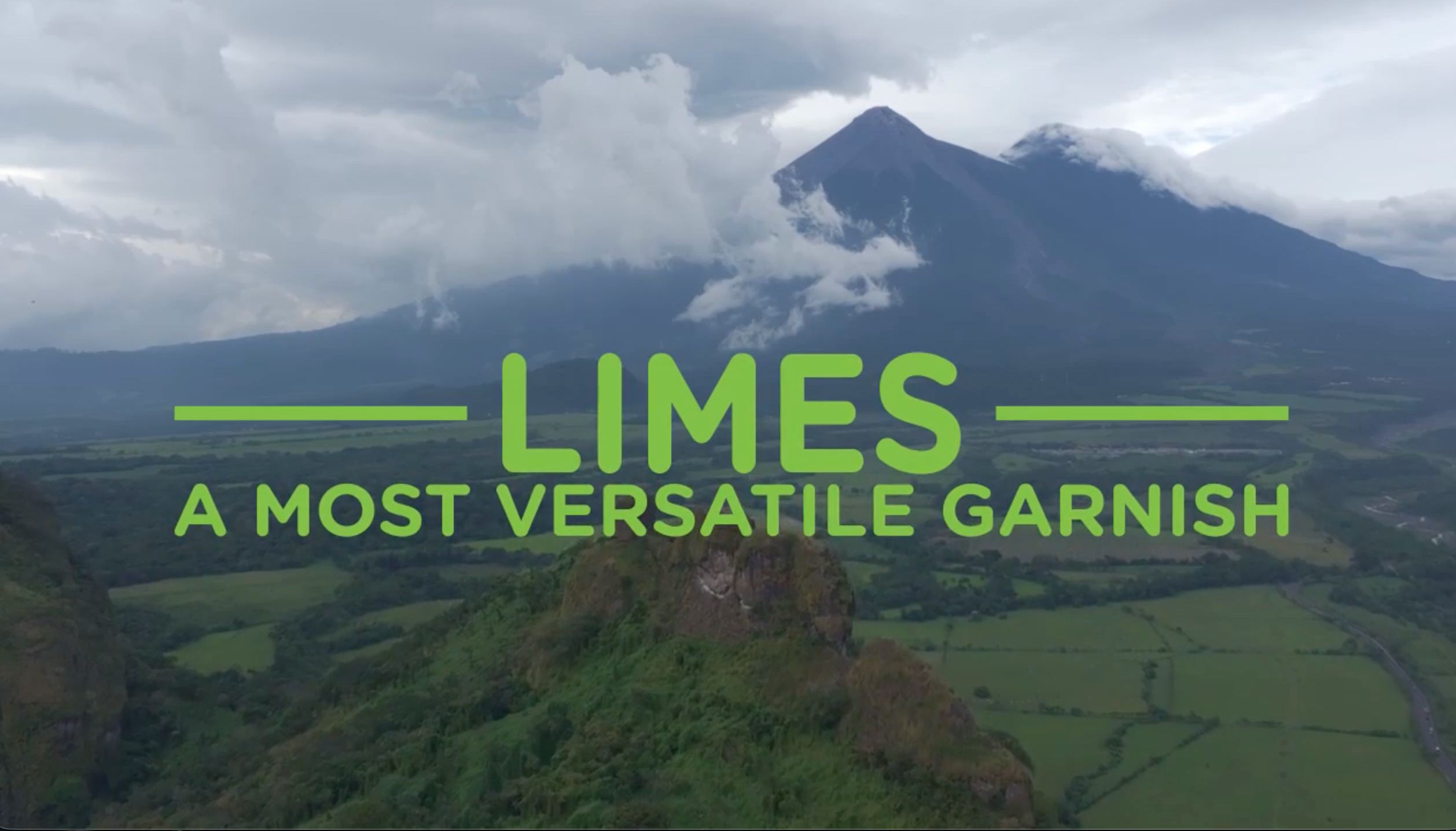 Aerial view of a lush lime-growing region with mountains, highlighting grower-direct limes used for dehydrated cocktail garnishes

